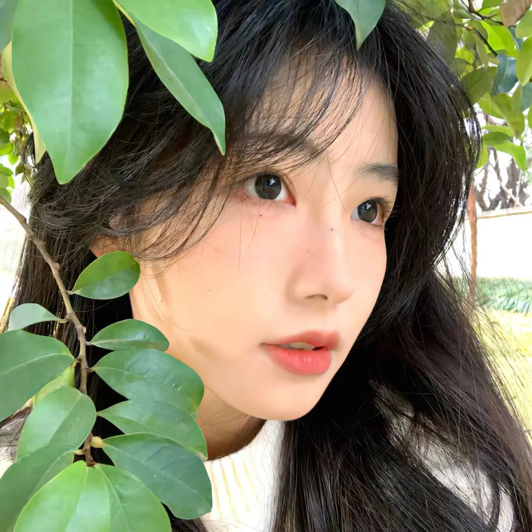 我的家人和其他动物